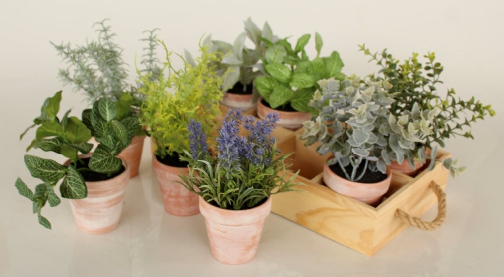 Set Of 8 Herb Pots In Wooden Tray With Handle